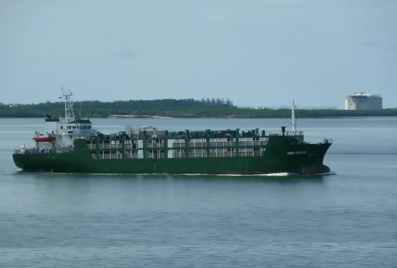 NINE EAGLE General Cargo IMO 9397092 photo 4