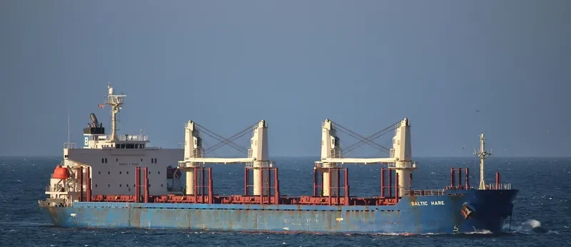 AGIA TRIADA Bulk Carrier IMO 9397236 photo 2