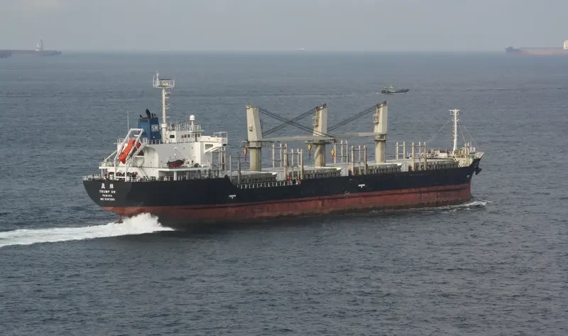 TRUMP SW Bulk Carrier IMO 9397250 photo 5