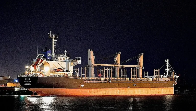 TRUMP SW Bulk Carrier IMO 9397250 photo 7