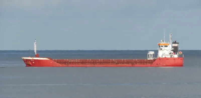 MEDAL General Cargo IMO 9397638 photo 5
