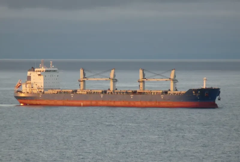 YIN PING Bulk Carrier IMO 9397690