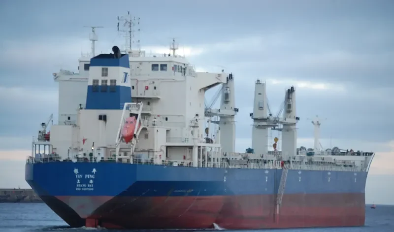 YIN PING Bulk Carrier IMO 9397690 photo 6