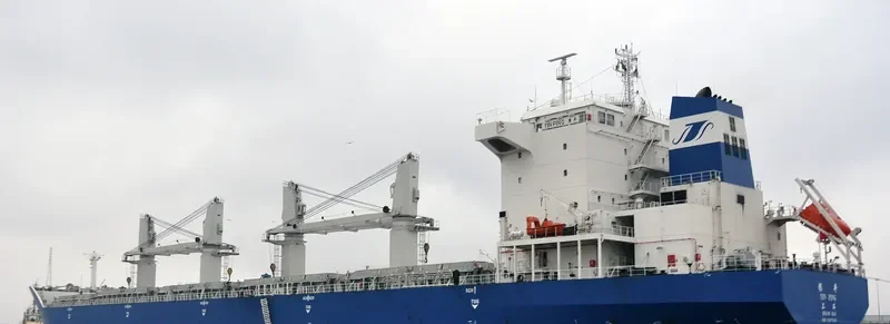 YIN PING Bulk Carrier IMO 9397690 photo 10