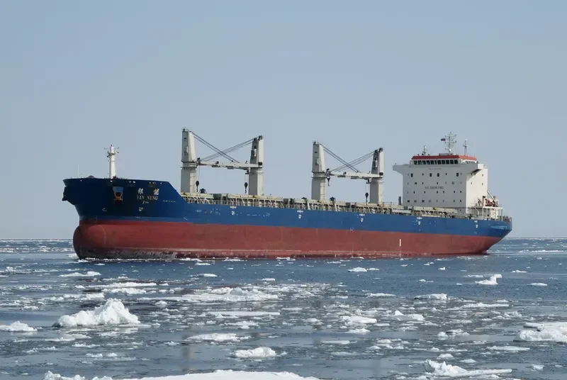 YIN NENG Bulk Carrier IMO 9397705 photo 2