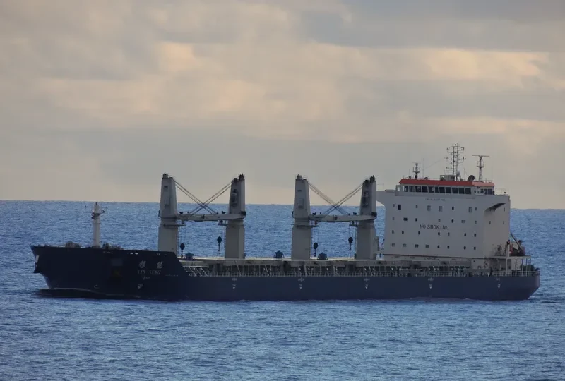 YIN NENG Bulk Carrier IMO 9397705 photo 5