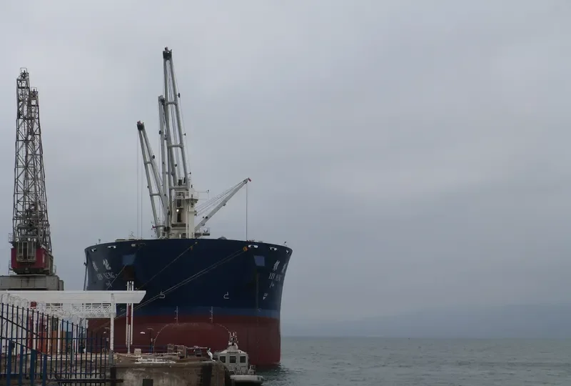 YIN NENG Bulk Carrier IMO 9397705 photo 7