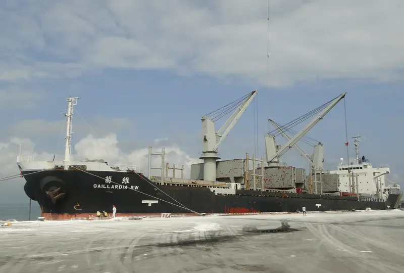 GAILLARDIA SW Bulk Carrier IMO 9397717
