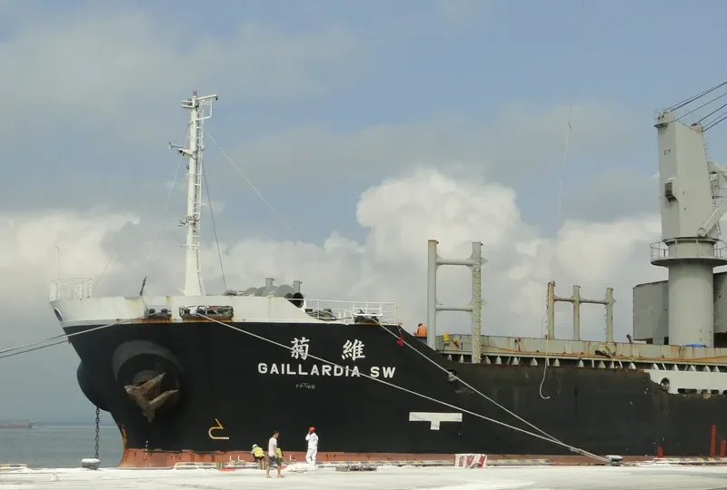 GAILLARDIA SW Bulk Carrier IMO 9397717 photo 6