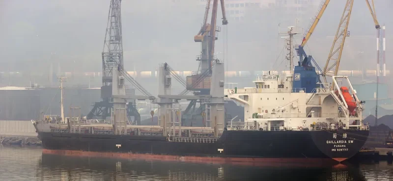 GAILLARDIA SW Bulk Carrier IMO 9397717 photo 7