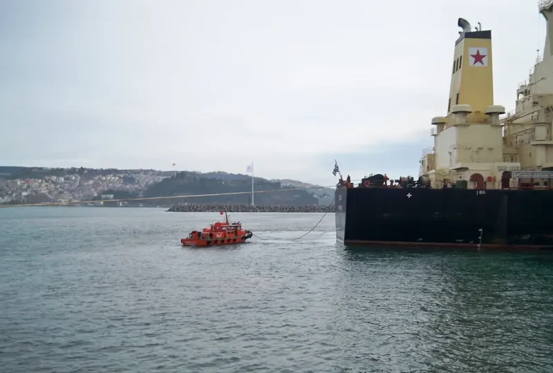 SM HEDLAND Bulk Carrier IMO 9397743 photo 8