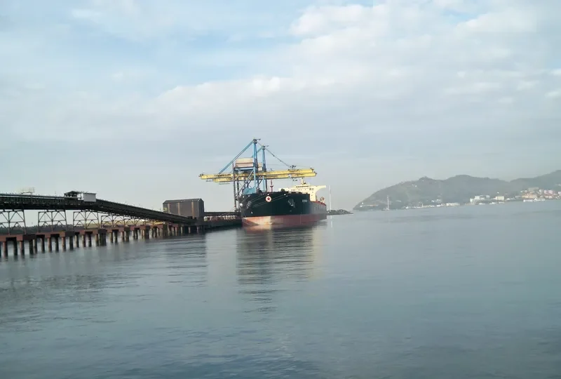 SM HEDLAND Bulk Carrier IMO 9397743 photo 9