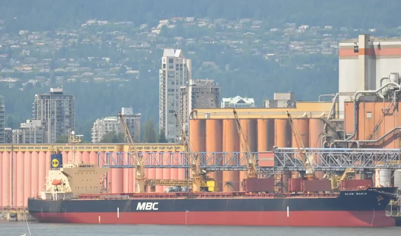 RASUNA BARUNA Bulk Carrier IMO 9397834