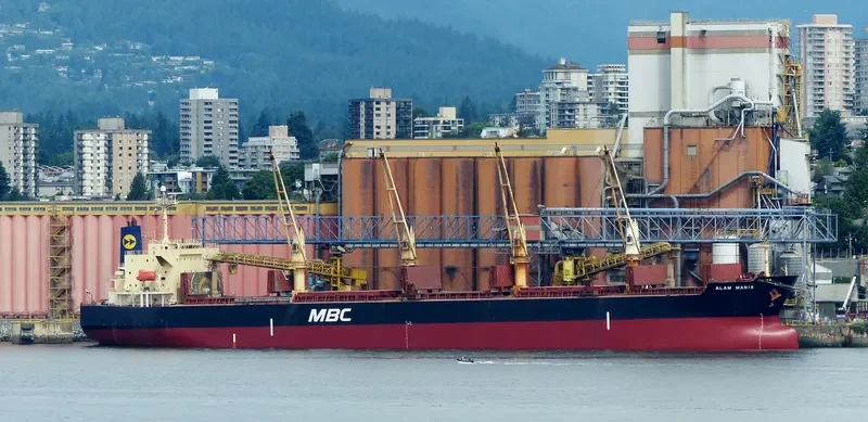 RASUNA BARUNA Bulk Carrier IMO 9397834 photo 2