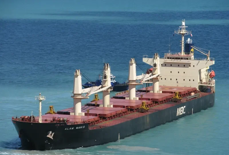 RASUNA BARUNA Bulk Carrier IMO 9397834 photo 6