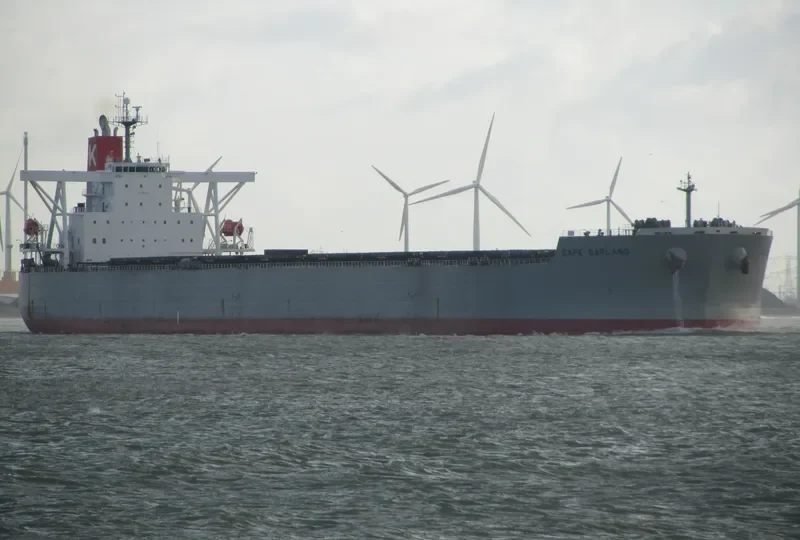 CAPE GARLAND Bulk Carrier IMO 9397846 photo 5