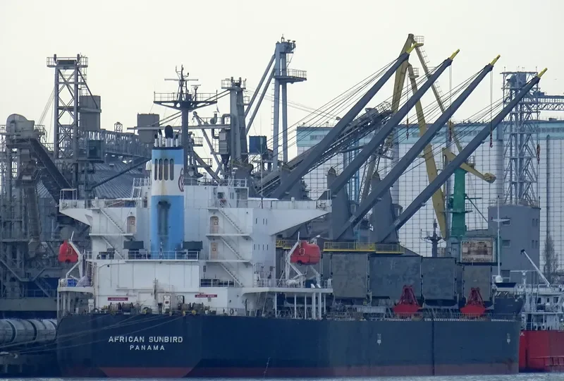 LUMOSO KARUNIA IX Bulk Carrier IMO 9397884 photo 2