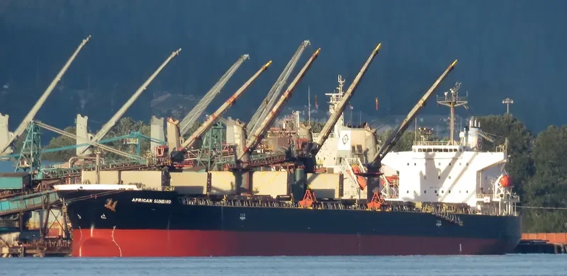LUMOSO KARUNIA IX Bulk Carrier IMO 9397884 photo 4