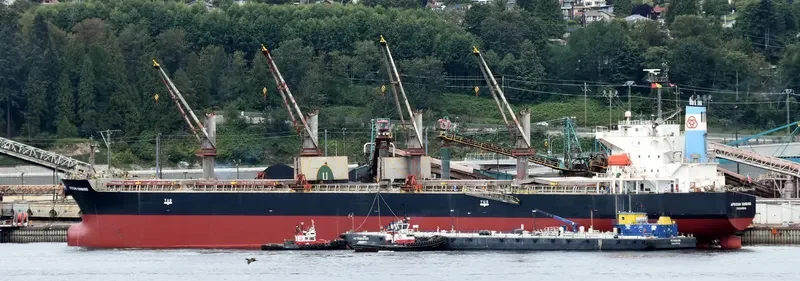 LUMOSO KARUNIA IX Bulk Carrier IMO 9397884 photo 5