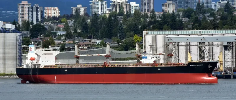LUMOSO KARUNIA IX Bulk Carrier IMO 9397884 photo 7