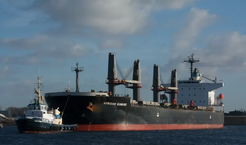 LUMOSO KARUNIA IX Bulk Carrier IMO 9397884 photo 10