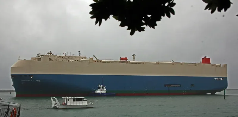 AMETHYST ACE General Cargo IMO 9397999 photo 7