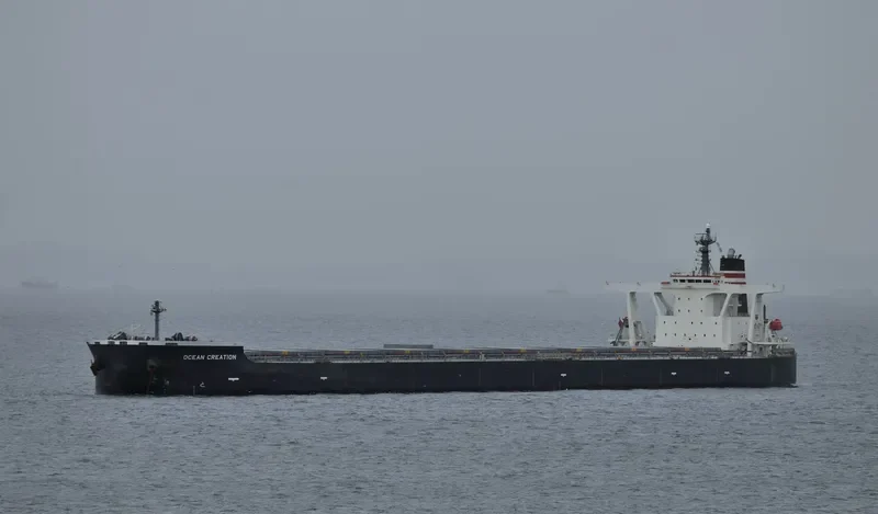 OCEAN CREATION Bulk Carrier IMO 9398125