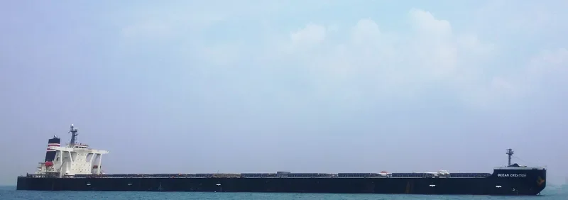 OCEAN CREATION Bulk Carrier IMO 9398125 photo 2