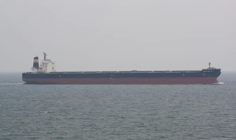 OCEAN CREATION Bulk Carrier IMO 9398125 photo 3