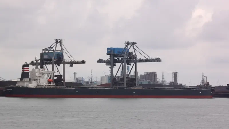 OCEAN CREATION Bulk Carrier IMO 9398125 photo 7