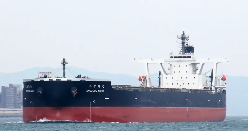 ONOZURU MARU Bulk Carrier IMO 9398137 photo 2