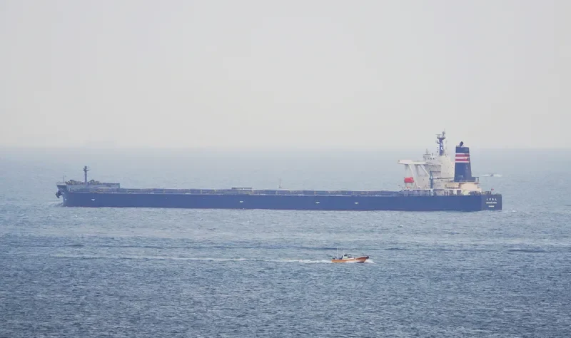 ONOZURU MARU Bulk Carrier IMO 9398137 photo 8