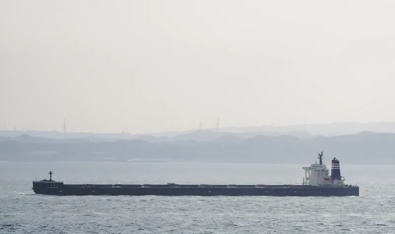 ONOZURU MARU Bulk Carrier IMO 9398137 photo 9