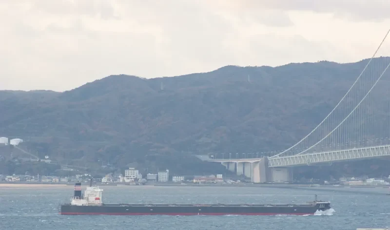 SHIN KORYU Bulk Carrier IMO 9398149 photo 3