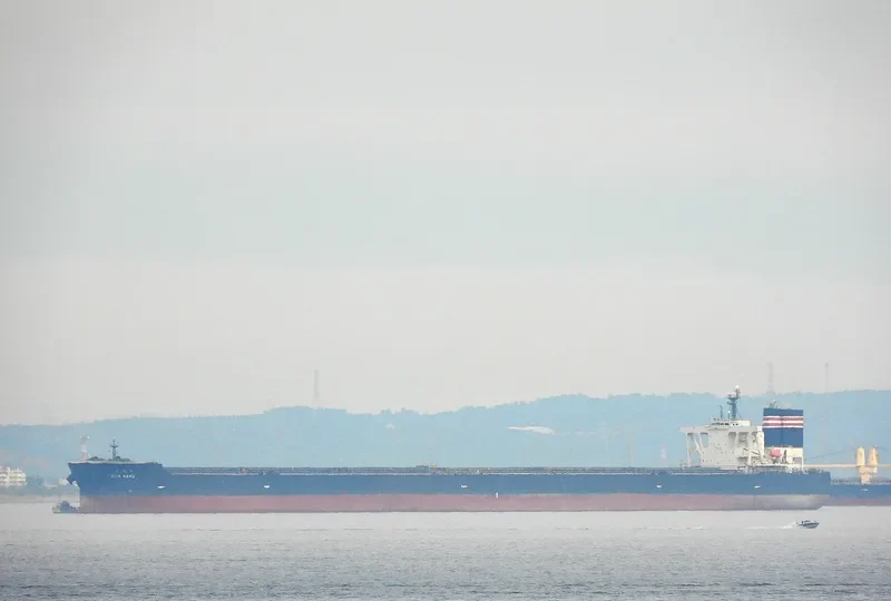 OITA MARU Bulk Carrier IMO 9398151 photo 3