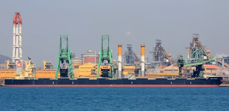 CAPE ODYSSEY Bulk Carrier IMO 9398163 photo 3