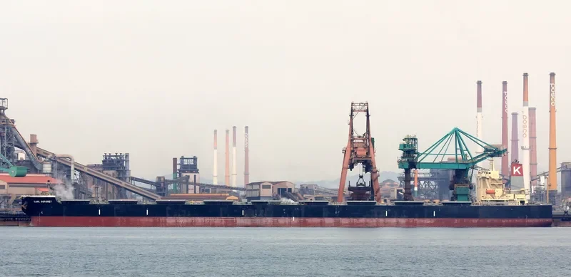 CAPE ODYSSEY Bulk Carrier IMO 9398163 photo 6