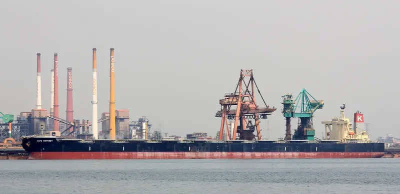 CAPE ODYSSEY Bulk Carrier IMO 9398163 photo 7