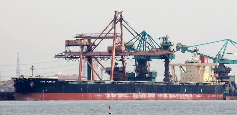 CAPE ODYSSEY Bulk Carrier IMO 9398163 photo 8