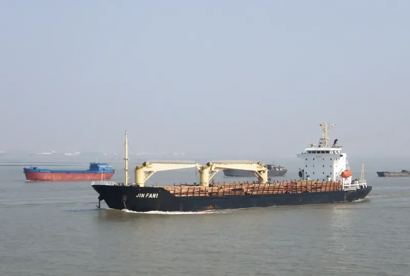 JINFAN 1 General Cargo IMO 9398515 photo 2