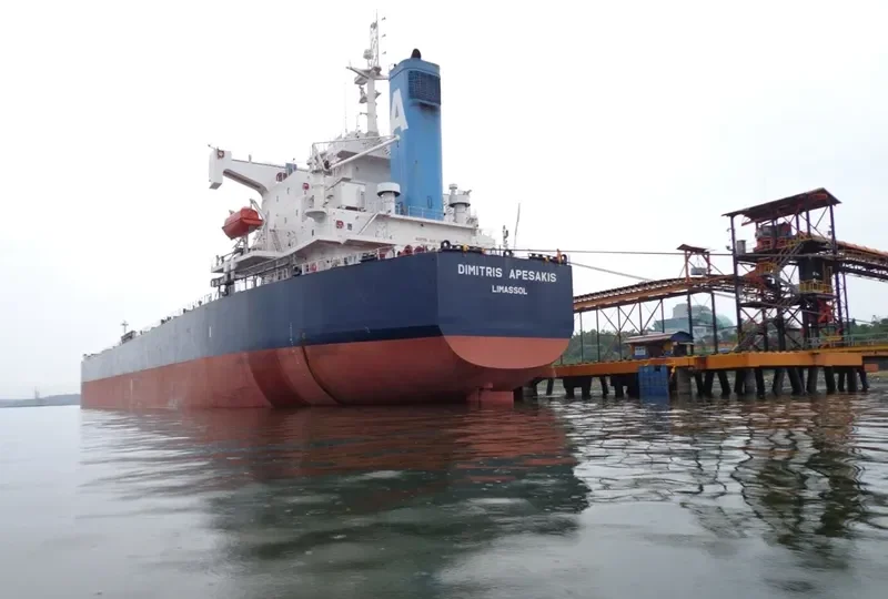 DIMITRIS A Bulk Carrier IMO 9398656 photo 4