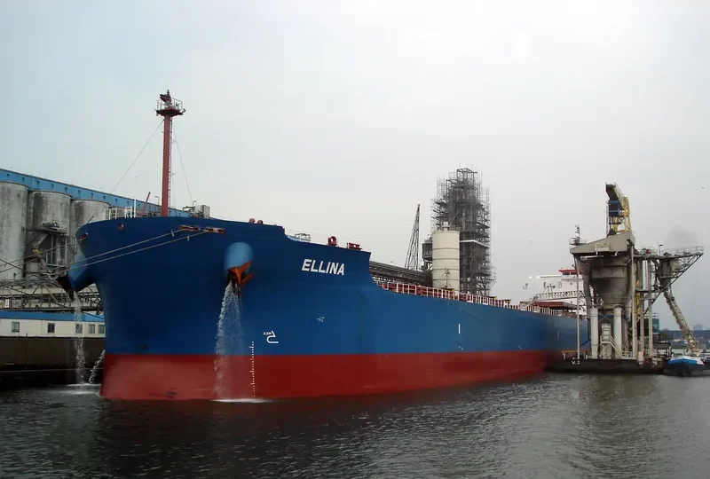 ELLINA Bulk Carrier IMO 9398668