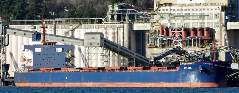 ELLINA Bulk Carrier IMO 9398668 photo 5