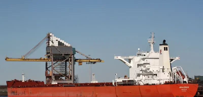 BRAVERUS Bulk Carrier IMO 9398682 photo 3