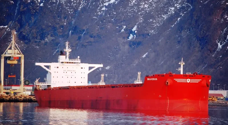 BRAVERUS Bulk Carrier IMO 9398682 photo 8