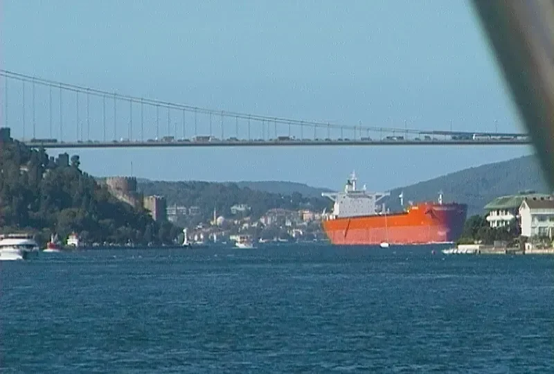 DIVINUS Bulk Carrier IMO 9398711 photo 4