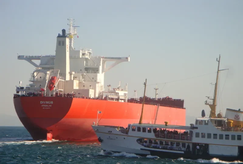 DIVINUS Bulk Carrier IMO 9398711 photo 10