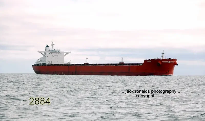 GENIUSHIP Bulk Carrier IMO 9398759 photo 3
