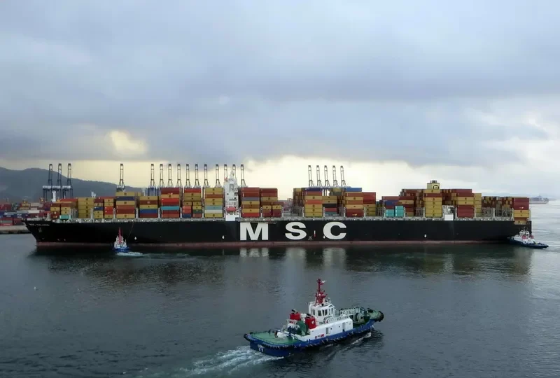 MSC KALINA Container Ship IMO 9399026 photo 7