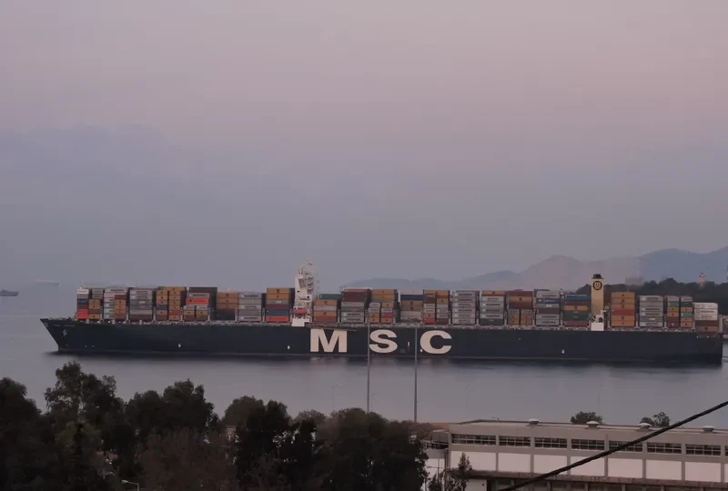 MSC IRENE Container Ship IMO 9399040 photo 4